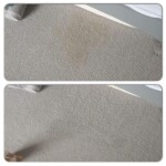 Sofa Cleaning
