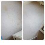 Sofa Cleaning